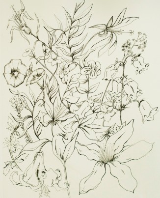 Flower Illustration #3